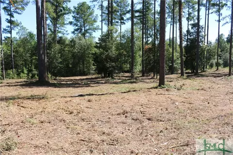0 Captain Cone Ct #LOT 15, Brooklet, GA 30415
