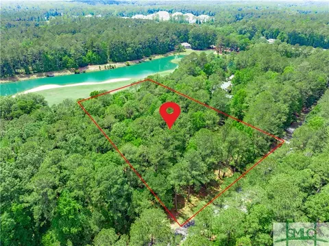 166 Belted Kingfisher Ln, Richmond Hill, GA 31324