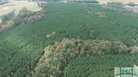Undisclosed, Harrison, GA 31087