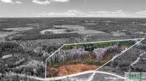0 Wheeler Rd, Ludowici, GA 31316