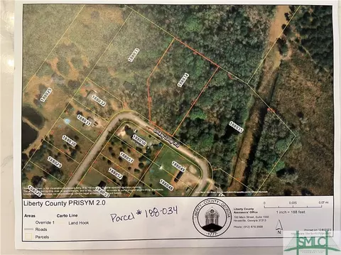 2 66 Ac Smiley Loop Rd, Riceboro, GA 31323