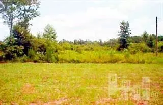 4858 Point Caswell Rd, Atkinson, NC 28421 photo 4