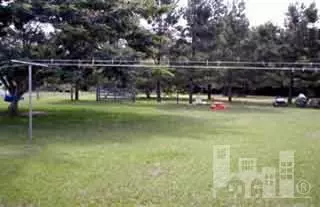 771 Newkirk Rd, Willard, NC 28478 photo 3