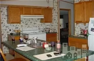 438 Old Mill Rd, Willard, NC 28478 photo 5