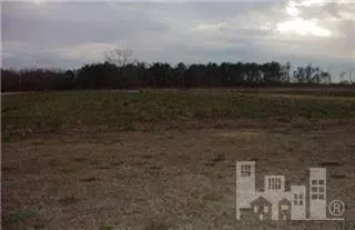 438 Old Mill Rd, Willard, NC 28478 photo 2