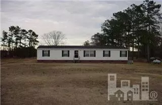 438 Old Mill Rd, Willard, NC 28478 photo 1