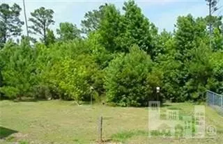 313 W Creekview Dr, Hampstead, NC 28443 photo 2