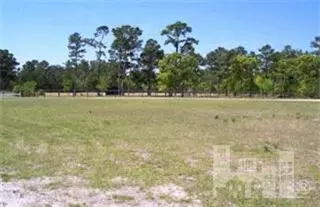 250 Quarter Horse Ln, Hampstead, NC 28443 photo 3