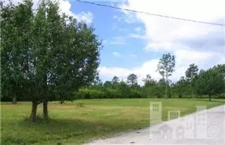 454 Lea Crest Ln, Hampstead, NC 28443 photo 3