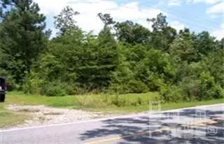 8986 Shiloh Rd, Ivanhoe, NC 28447 photo 5