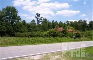 8986 Shiloh Rd, Ivanhoe, NC 28447 photo 3