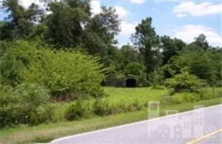 8986 Shiloh Rd, Ivanhoe, NC 28447 photo 4