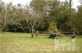 235 Fox Holw, Willard, NC 28478 photo 5