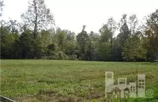 235 Fox Holw, Willard, NC 28478 photo 3