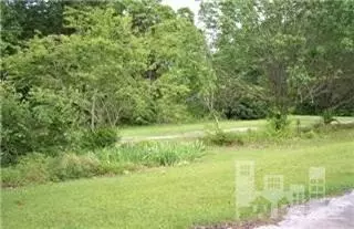 1280 Sandy Foundation Rd, Deep Run, NC 28525 photo 8