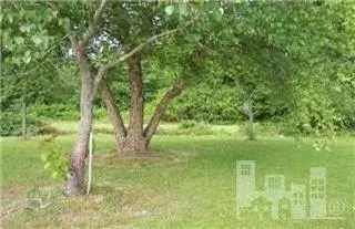 1280 Sandy Foundation Rd, Deep Run, NC 28525 photo 7