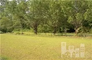 1280 Sandy Foundation Rd, Deep Run, NC 28525 photo 5