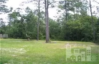 403 Sloop Point Rd, Hampstead, NC 28443 photo 8