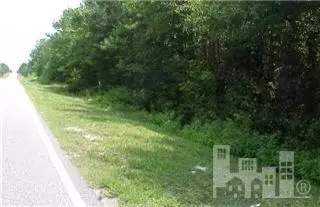 222 Lee Rd, Maple Hill, NC 28454 photo 3