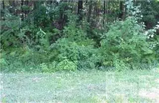 222 Lee Rd, Maple Hill, NC 28454 photo 1