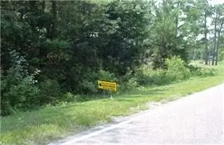 222 Lee Rd, Maple Hill, NC 28454 photo 2