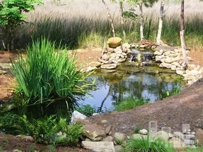 108 Overlook Dr, Hampstead, NC 28443 photo 3