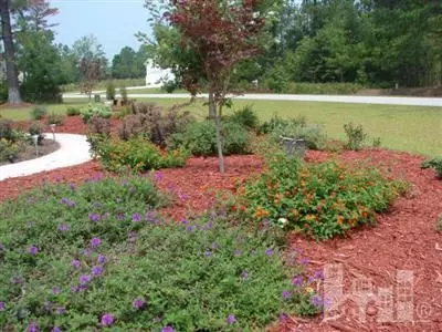 118 Long Leaf Dr, Hampstead, NC 28443 photo 11