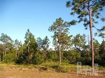 92 Edward Teach Ct, Hampstead, NC 28443 photo 3