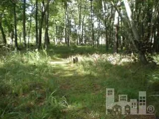 325 Batchelor Bay Rd, Wallace, NC 28466 photo 5
