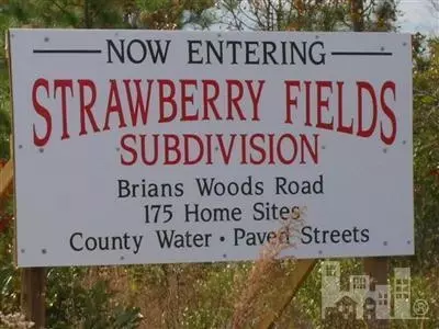 112 Boysenberry Fields Rd, Maple Hill, NC 28454 photo 2
