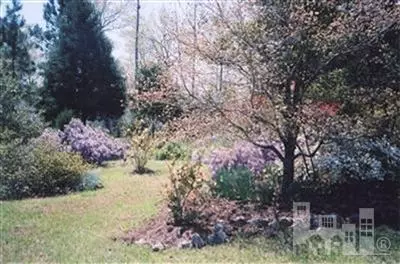 106 Shadow Ridge Rd, Hampstead, NC 28443 photo 10