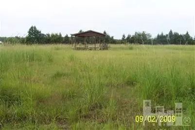 3685 Coras Grove Rd, Watha, NC 28478 photo 1
