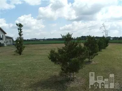 3174 Lamb Rd, Willard, NC 28478 photo 15