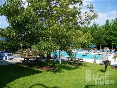 100 Whimbrell Way, Hampstead, NC 28443 photo 14