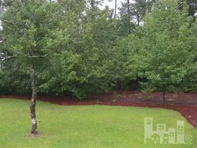 323 Long Leaf Dr, Hampstead, NC 28443 photo 12