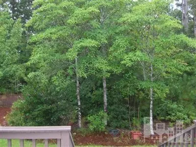 323 Long Leaf Dr, Hampstead, NC 28443 photo 13