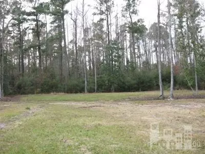 3435 Point Caswell Rd, Atkinson, NC 28421 photo 7