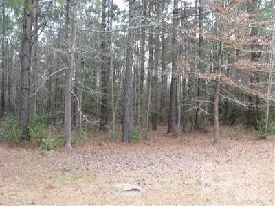 570 Dan Hales Dr, Atkinson, NC 28421 photo 11