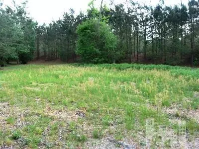 132 E Grandiflora Dr, Wallace, NC 28466 photo 2