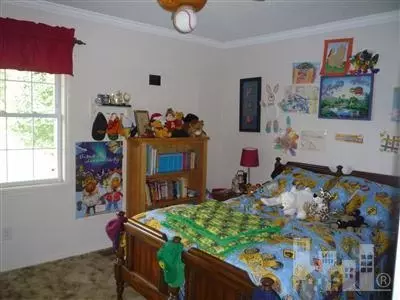 414 Willard Rd, Willard, NC 28478 photo 9