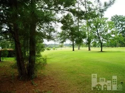175 Firefly Dr, Wallace, NC 28466 photo 1