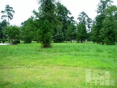 175 Firefly Dr, Wallace, NC 28466 photo 2