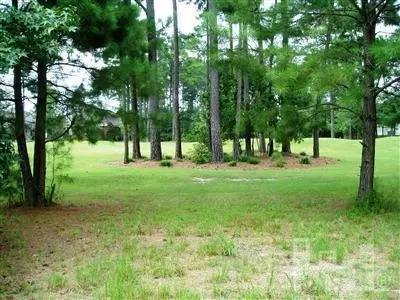 175 Firefly Dr, Wallace, NC 28466 photo 3
