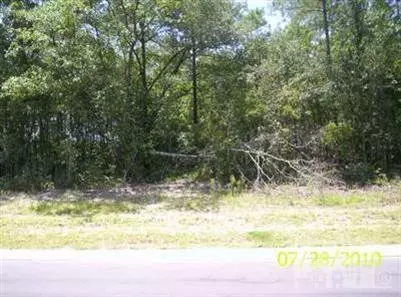164 Falling Water Way, Wallace, NC 28466 photo 1