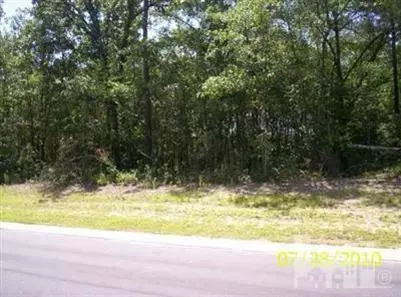 164 Falling Water Way, Wallace, NC 28466 photo 2
