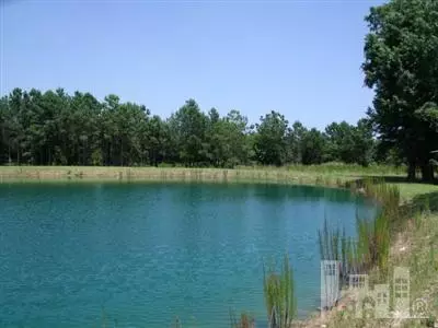 90 Hydrangea Ln, Hampstead, NC 28443 photo 9
