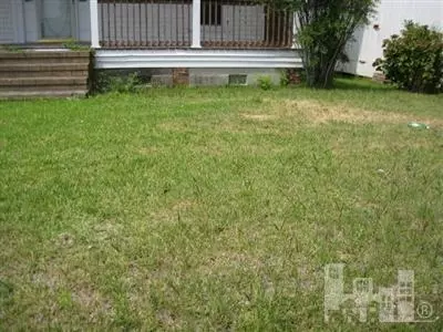26 Doc Smith Rd, Willard, NC 28478 photo 7