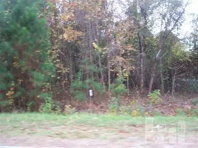 124 Hughes Rd, Hampstead, NC 27894 photo 1