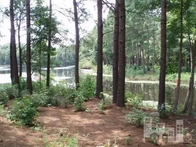 117 Cornel Ln, Hampstead, NC 28443 photo 3