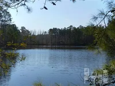 108 Roughleaf Trl, Hampstead, NC 28443 photo 5
